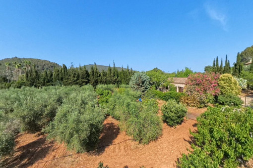 Finca rústica con vistas panorámicas al huerto