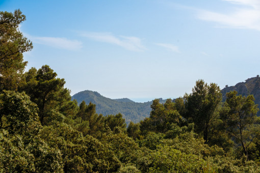 Vista exterior