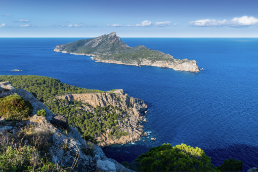 La naturaleza de dragonera 