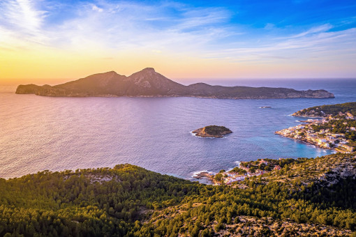 Dragonera al atardecer 