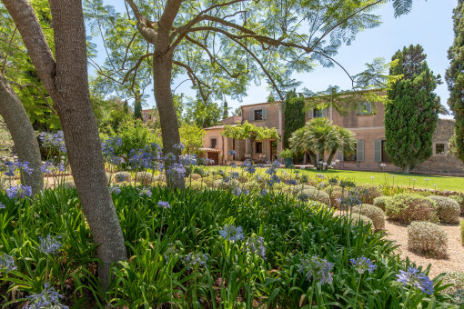 Jardín mediterraneo