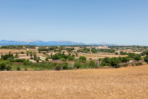 Vistas