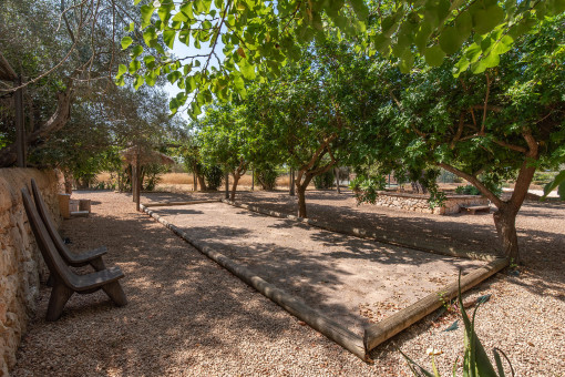 Pista de petanca