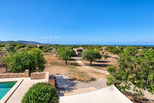 Vista de la parcela desde la terraza