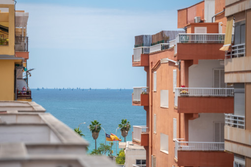 Vistas