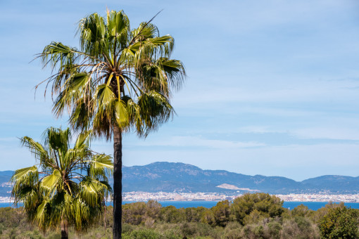 Vista al mar