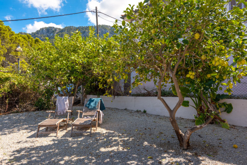 Terraza de los limoneros