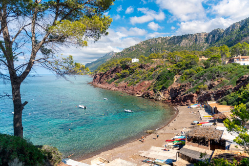 Playa Port des Canonge