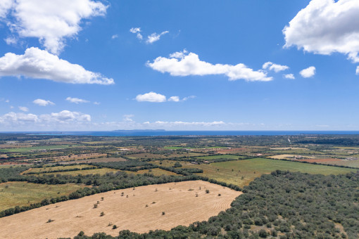 Vista a la lejanía