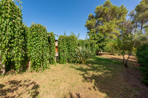 Jardín