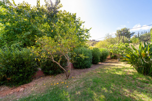 Jardín