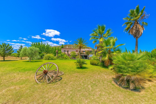 Finca en Alcudia para vender