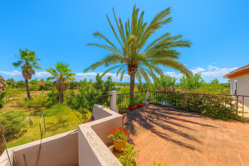 Vista desde la terraza del apartamento de invitados