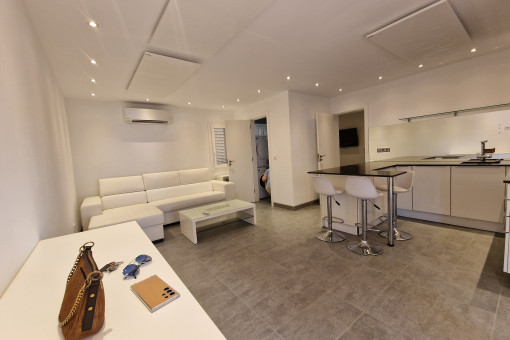 amplio salon