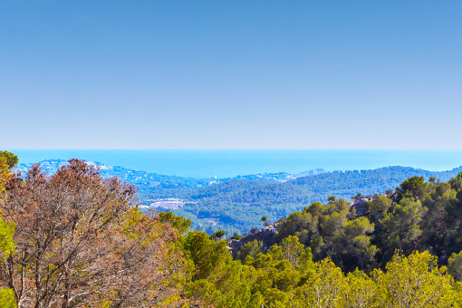 Vista