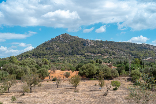 Vista panoramica