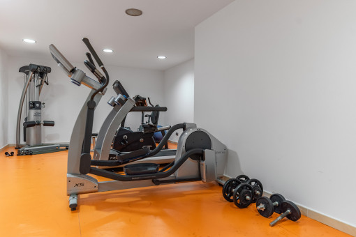 Gimnasio