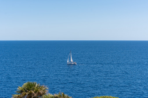 Primera linea del mar