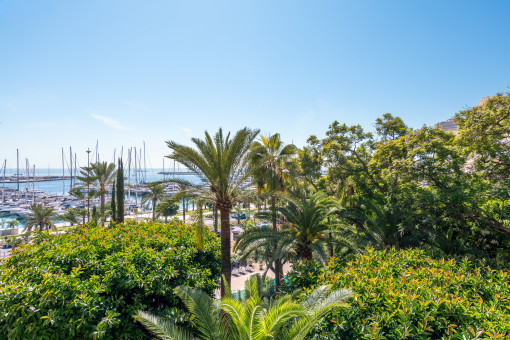 Vistas