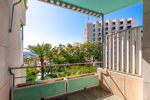 Terraza 2