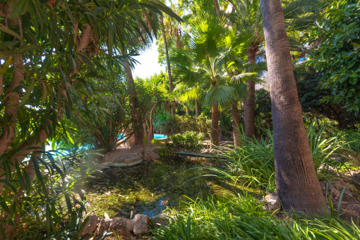 Jardines