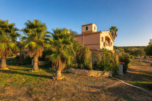 Finca con palmeras y jardín mediterráneo cerca de Manacor