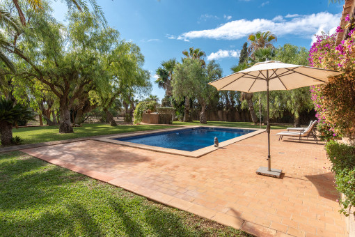 Area de la piscina 
