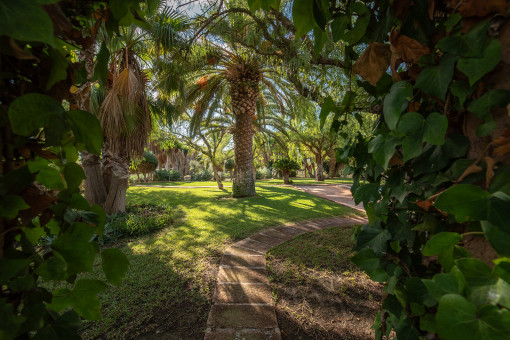 Jardín encantado