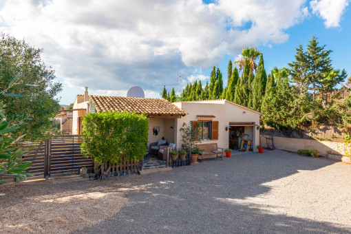 Vista frontal