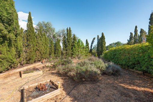 Front garden