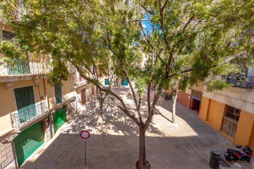 Vistas a la plaza