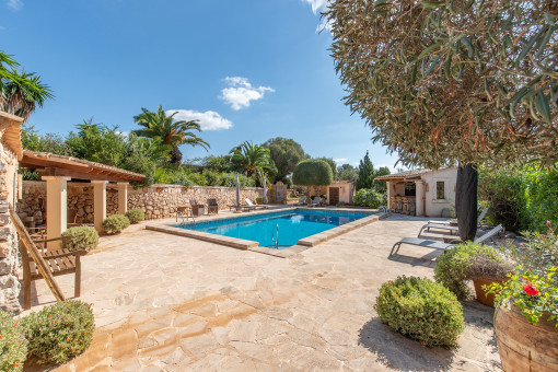 Piscina con solariúm 