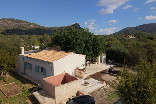 Vista a la montaña