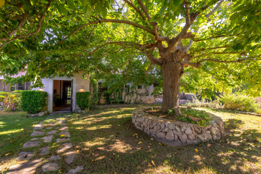 Gran jardín con encanto mediterráneo