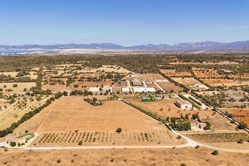 Finca única de primera categoría con centro ecuestre de alta calidad y posibilidades ilimitadas en Llucmajor