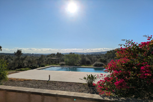Zona de piscina con amplia terraza solárium rodeada de vegetación mediterránea