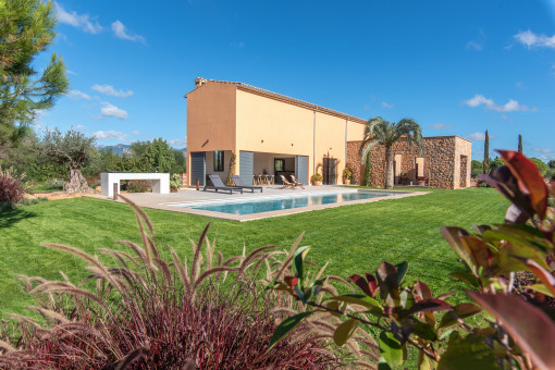 Oasis verde alrededor de la casa