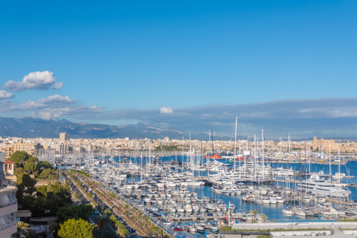 Apartamento en Paseo Maritimo Palma