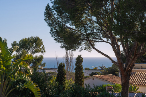 Vista espectacular desde la terraza soleada