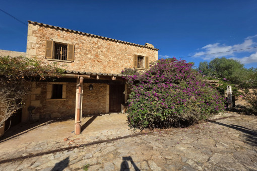 Mediterrano tradicional