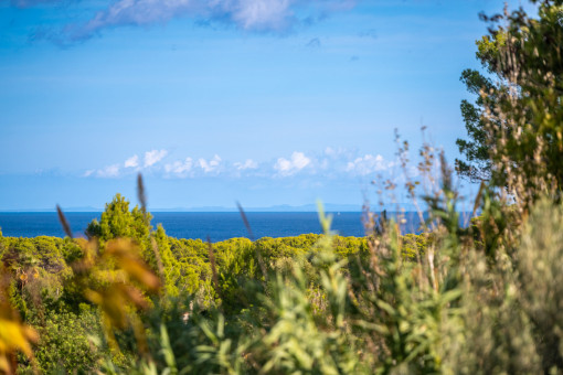 Terraza con vistas directas al mar