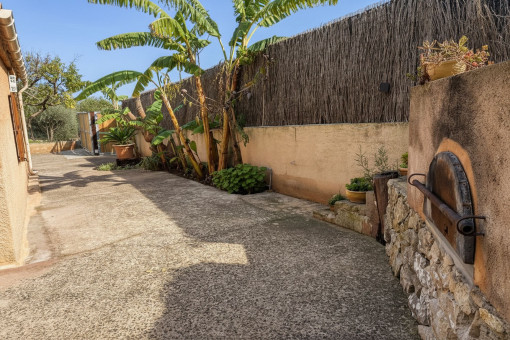 Horno de piedra tradicional y planta de plátano