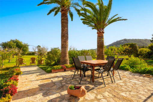 Finca Costa de los Pinos8