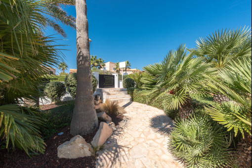 Camino de accesso a la casa 