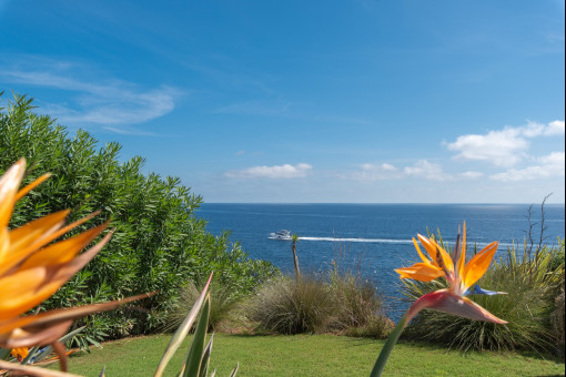 Vista desde el jardín