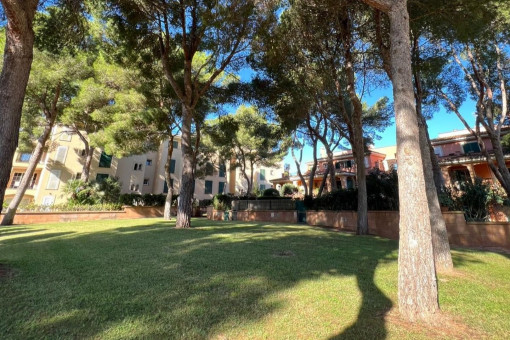 Zona exterior cuidada con árboles