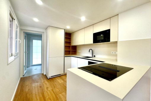 Cocina moderna equipada