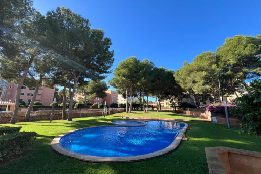 Apartamento en Mayoris Decima