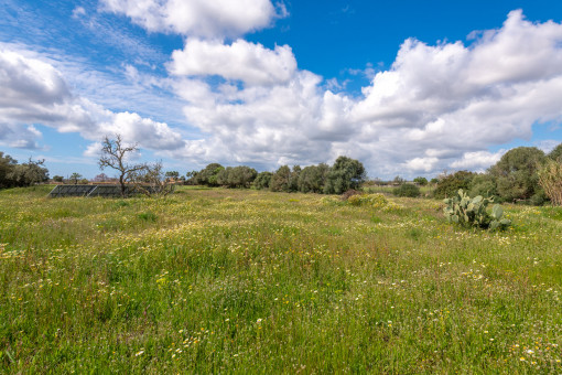Vista al jardín hacia el oeste