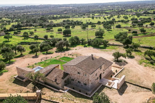 Top Finca Cala Millor
